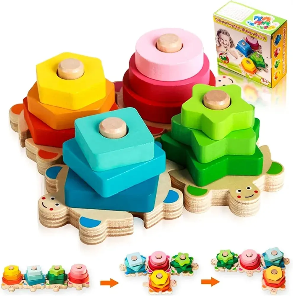 Tortues Multicolores · photo 3